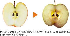 りんごの酸化